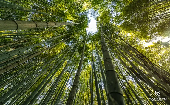 Standort der SEO Agentur in Duisburg