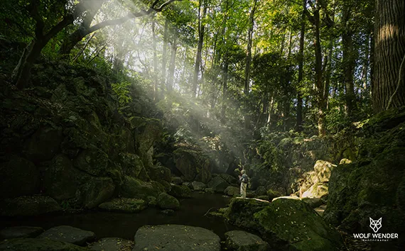 SEO Agentur Duisburg - Suchmaschinenoptimierung in Ihrer Nähe
