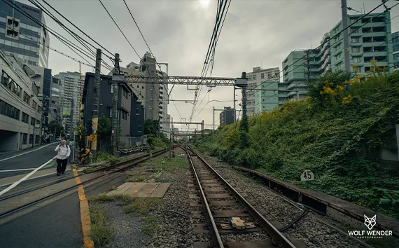 SEO Agentur Dortmund - Suchmaschinenoptimierung in Ihrer Nähe