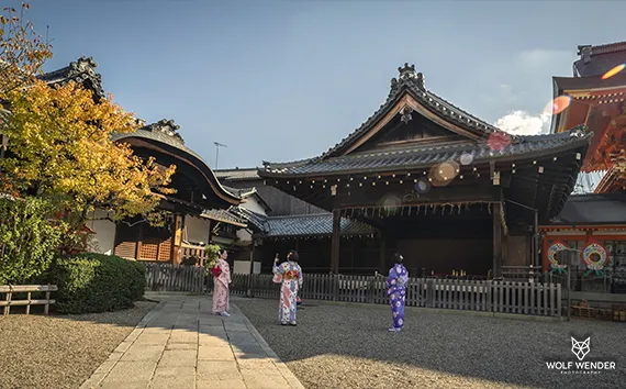 SEO Agentur Gelsenkirchen - Suchmaschinenoptimierung in Ihrer Nähe