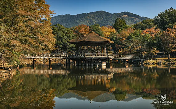 Meta-Tag-Optimierung - Bessere Sichtbarkeit in den Suchergebnissen