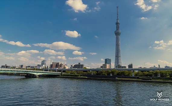 FAQ - Häufig gestellte Fragen zu SEO in Duisburg