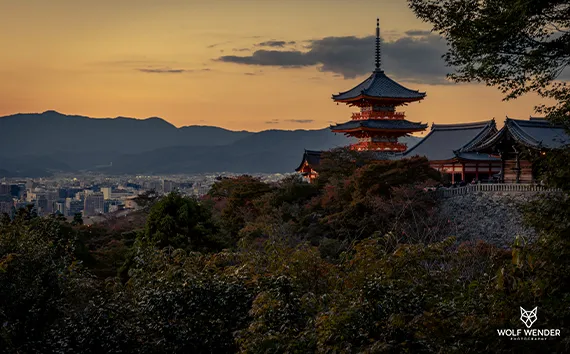 Local SEO - Lokale Sichtbarkeit für Ihr Unternehmen in Duisburg